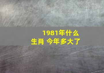 1981年什么生肖 今年多大了